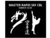 Logo Master Rapid SKF